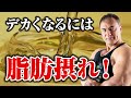 【筋トレ】デカくならない理由は脂肪が不足しているから!?筋肉をつけるために必要な脂質の役割とは