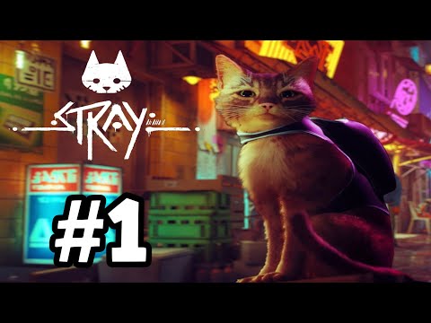SMALL CAT LOST IN A CYBER CITY | Stray - Part One