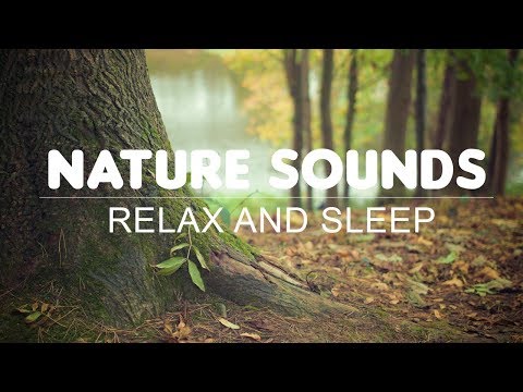 Nature Sounds Video