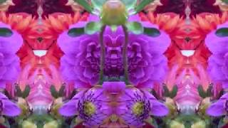 Candy Man (by Dave Van Ronk live at Indiana U. '64)