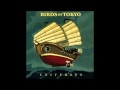 Wild Eyed Boy - Birds of Tokyo 