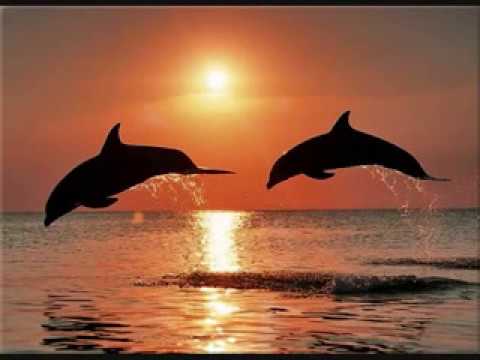 A sad adio-Vruc vetar (Dragan Stojnic)