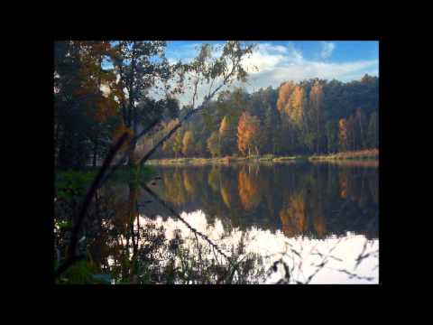 WMT - chcemy tu żyć (skrecze i bit haloon)