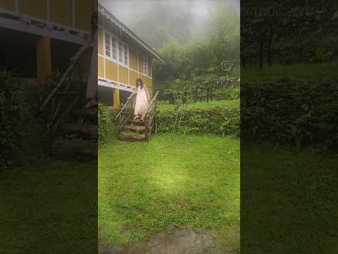 #sravya #youtubeshorts #