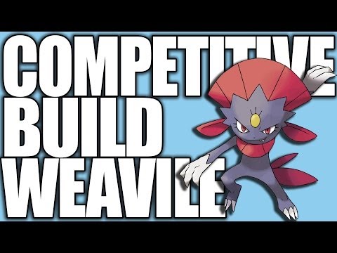 Pokemon XY: Competitive Builds 101 - Weavile