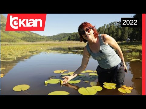 Gramshi, futet në hartën turistike (Pjesa 1) - Histori shqiptare nga Alma Çupi