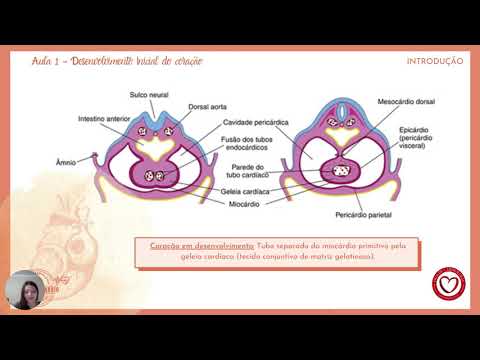 Módulo Embriologia - Aula 1 - Desenvolvimento Inicial do Coração