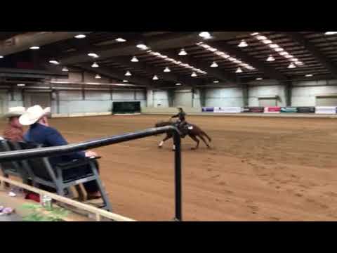 Boom Sail Whiz Tulsa Novice Horse L1