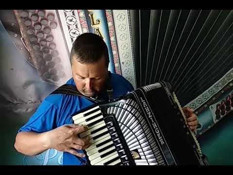 LANZINGER ELITE V-PLAZNIK STIMA