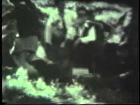 LE MIE PELLICOLE - PIC NIC SULL'ALICE in CIRO' MARINA