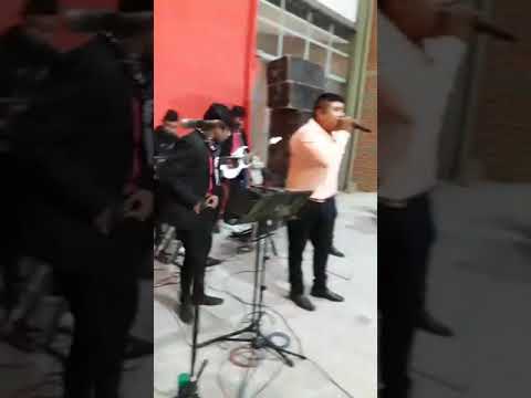 Chichas enganchadas Grupo D'LICIAS de juju