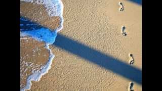 Velvet Dreamer - Footprints in the Sand
