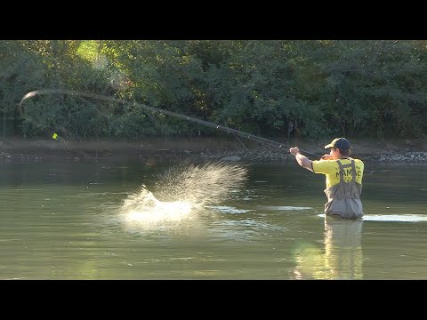 Pecanje na plovak - reka Drina - skobalj i mrena | Fishing on float