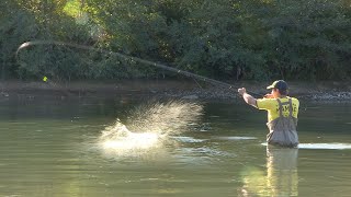 Pecanje na plovak - reka Drina - skobalj i mrena  