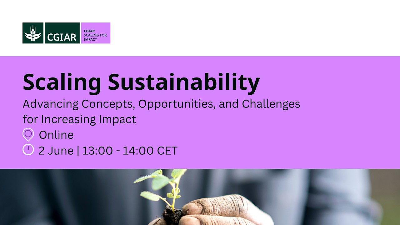 Scaling Sustainability: Concepts, Opportunities, and Challenges