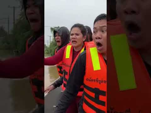 หมาโกลเด้นคาบงูว่ายน้ำไล่ตามเรือกู้ภัยน้ำท่วม ทีมกู้ภัยตกใจกรีดร้อง