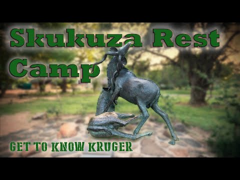 Skukuza Rest Camp im Test: Das Tor zur Wildnis des Kruger-Nationalparks | Kruger-Nationalpark
