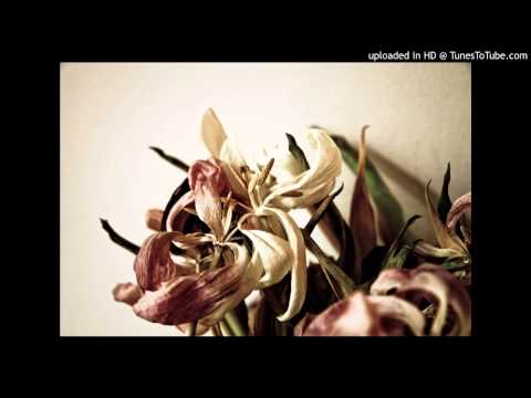 Today’s Tango Is… Romántico Bulincito – Pedro Maffia 14-06-1930