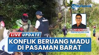 BKSDA Sumbar Pasang Kandang Jebakan untuk Tangani Konflik Beruang Madu di Pasaman Barat