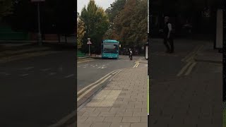 videos de risa el bus se cae