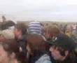 Illegal Rave Beach Party