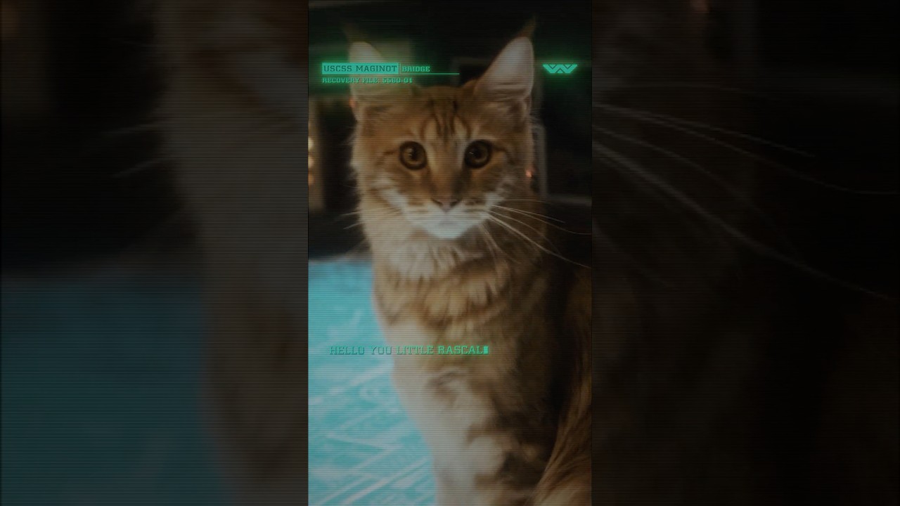 Remember who got you this job. Who wouldn’t want this job?