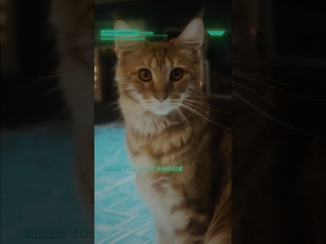 Remember who got you this job. Who wouldn’t want this job?