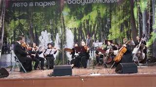 Портфолио