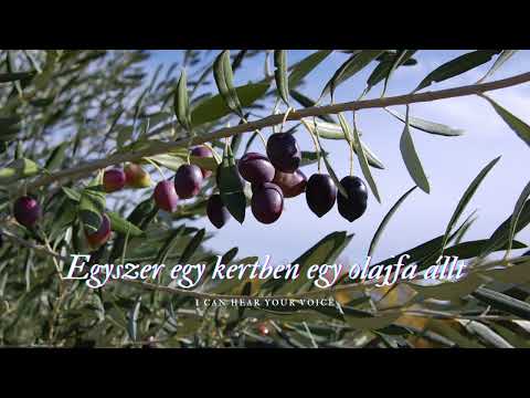 Egyszer egy kertben egy olajfa állt - Vidám szimfonikusok 2009.04.12