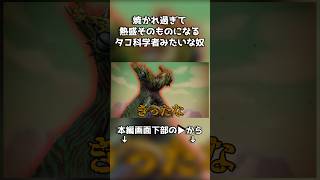 物理的に熱盛にされてしまう奴 #ゆっくり実況 #モンスターハンターワイルズ #チェダー774