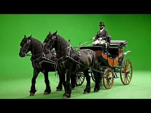 Vintage Horse Carriage Green Screen | Historical Horse Wagon stock video