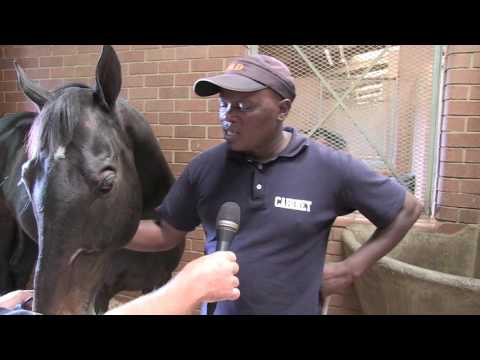 ALSON NDZILANA ON HIS TWO RAMSDEN SANSUI SUMMER CUP ENTRIES