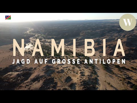 Wildes Namibia | Die faszinierende Jagd auf Kudus und Oryx in Afrika | WaldGeist