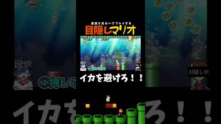 【目隠しマリオ】目隠しでイカに当たるな！！！