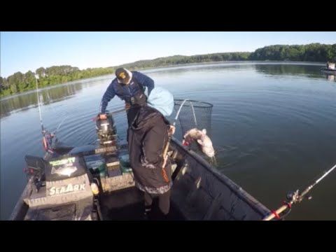 THE CATCH of a LIFETIME - How to CATCH FISH in a Transition area of a river system