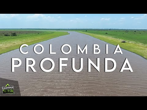 DISCOVER the REAL Colombia 🐊: The truth about the Orinoquía