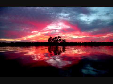 Herbivoros contaminados - Rap underground