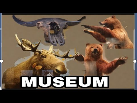 Музей Екатеринбург museum Yekaterinburg Russian