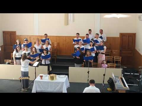 Voi cinta de dragostea