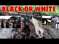 Black Roast Pig Deliveries 203