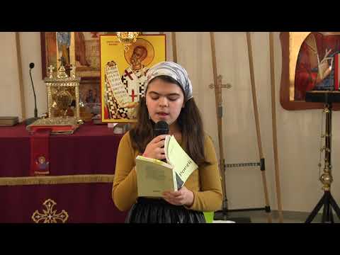 Ana Hiticaş - Bucurie (poezie)