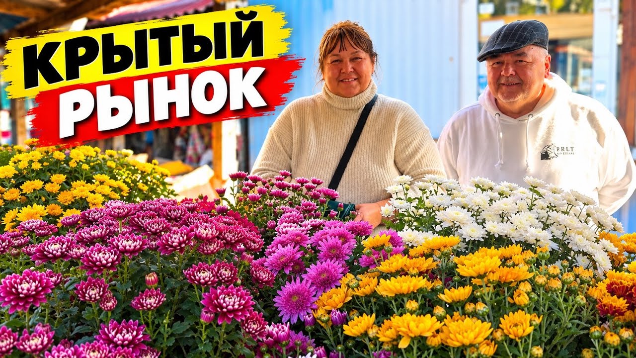 ЗАПОРОЖЬЕ | КРЫТЫЙ РЫНОК 25 октября 2026 г.