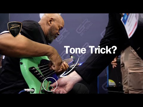 Bass Tone Secrets w/Sheldon Dingwall (Can YOU tell the difference?)