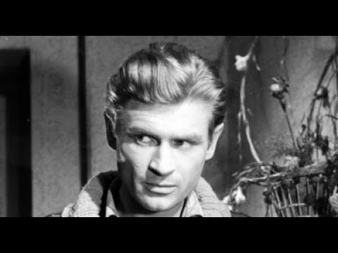 SYGNAŁY - POLSKI FILM SENSACYJNY HD, WYSTĘPUJĄ: STANISŁAW MIKULSKI, LEON NIEMCZYK