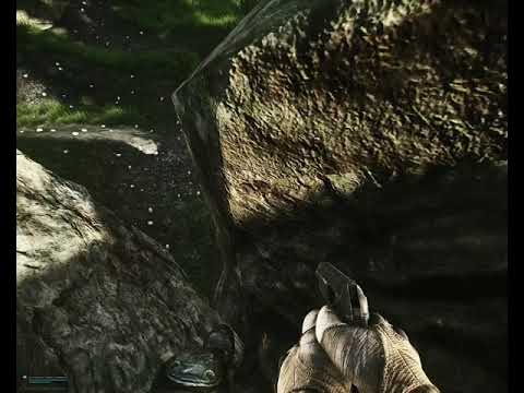 Sniper-Rock Bug on Woods