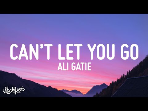 Ali Gatie - Can't Let You Go (Lyrics)