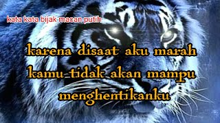 Download lagu kata kata bijak macan putih!!! (jngan kau usik pendiam) mp3