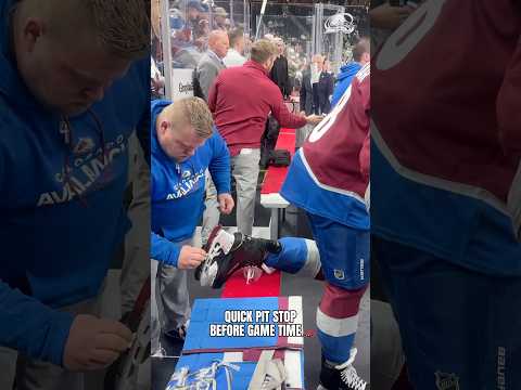 Does it hurt the horse