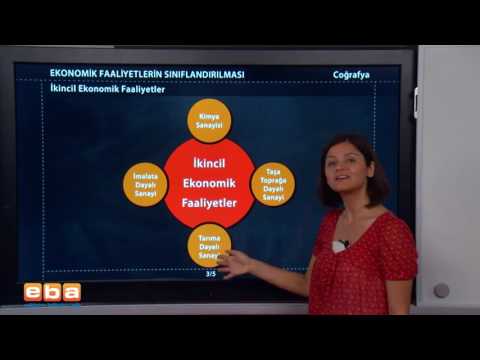 Yeni İş Fikirleri Girişimcilik