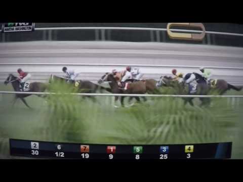 MARTHA WASHINGTON (G STAKES)$100,000  2017 - ADORABLE MISS !!!